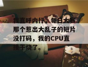 我直呼内行，每日大赛那个惹出大乱子的短片没打码，我的CPU直接干烧了。