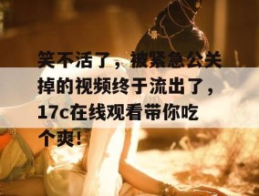 笑不活了，被紧急公关掉的视频终于流出了，17c在线观看带你吃个爽！